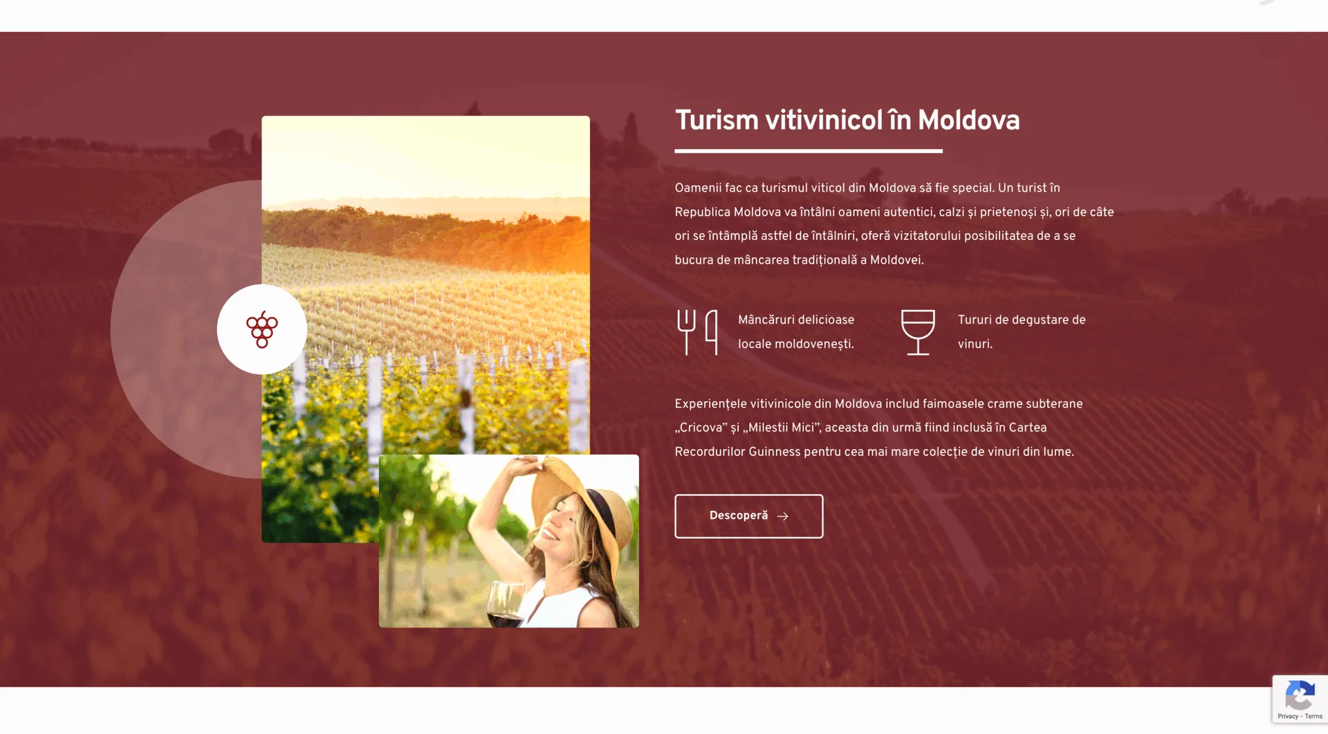 Wine of Moldova screenshot 2