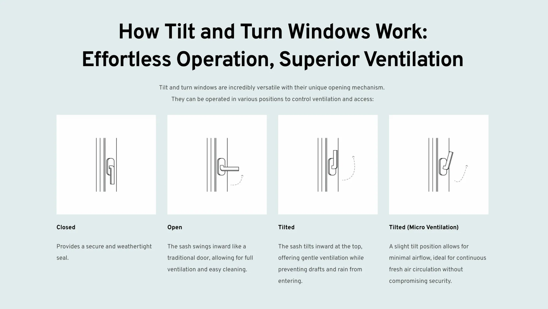 Revision Windows screenshot 1
